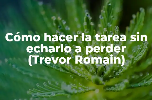 Trevor Romain y su enfoque en la gestión del estrés y la productividad
