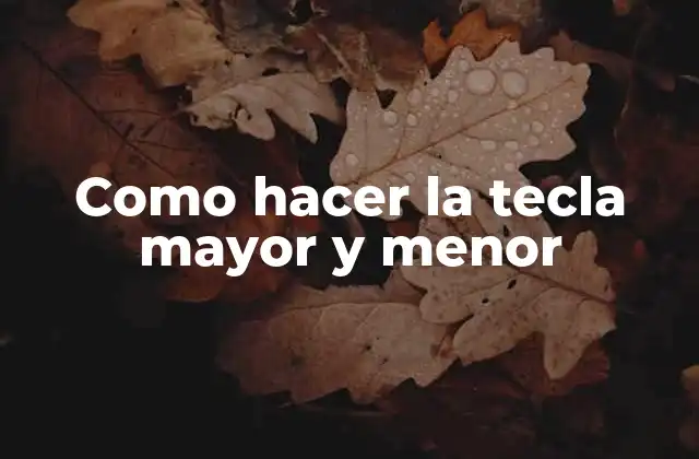 Como Hacer la Tecla Mayor y Menor