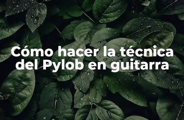 Cómo Hacer la Técnica Del Pylob en Guitarra