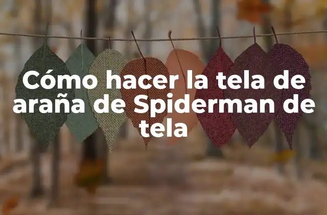 Cómo Hacer la Tela de Araña de Spiderman de Tela