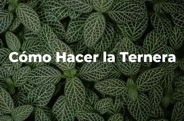 Cómo Hacer la Ternera