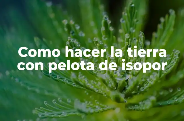 Como Hacer la Tierra con Pelota de Isopor