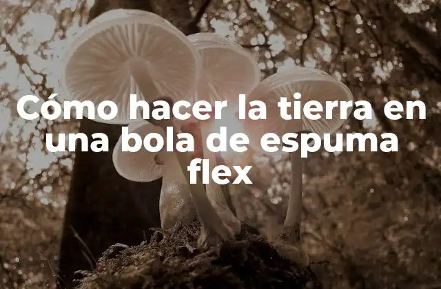 Cómo Hacer la Tierra en una Bola de Espuma Flex 2 Cómo hacer la tierra en una bola de espuma flex