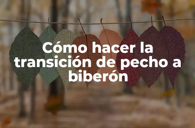 Cómo Hacer la Transición de Pecho a Biberón