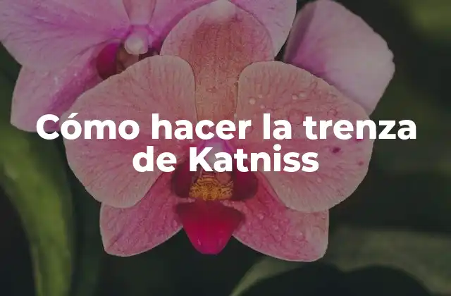 La trenza de Katniss Everdeen