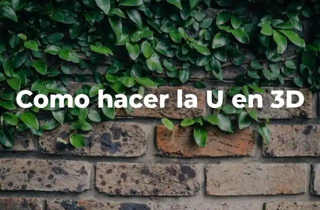 Como Hacer la u en 3d
