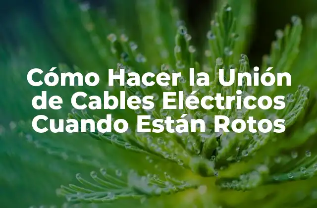 Cómo Hacer la Unión de Cables Eléctricos Cuando Están Rotos
