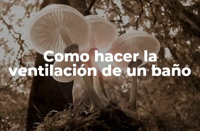 Como Hacer la Ventilación de un Baño