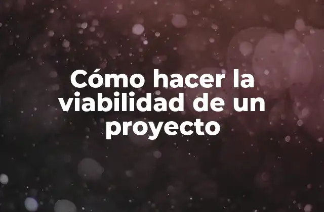 Cómo Hacer la Viabilidad de un Proyecto