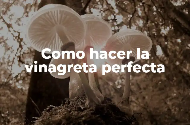 Como Hacer la Vinagreta Perfecta