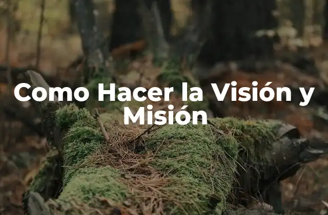 Como Hacer la Visión y Misión 2 La Visión y Misión de Tu Empresa