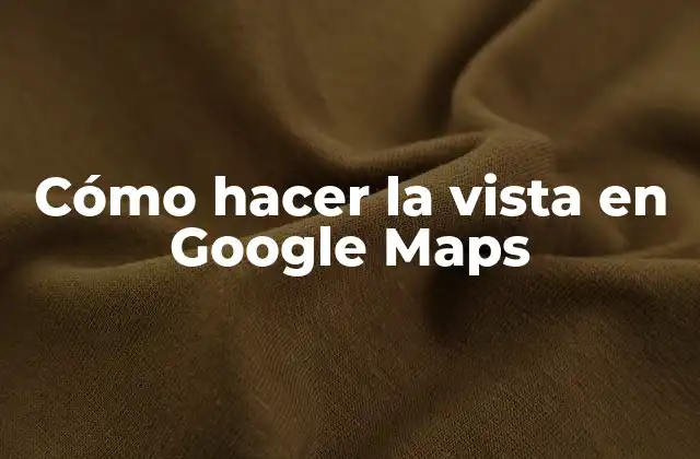 Cómo Hacer la Vista en Google Maps