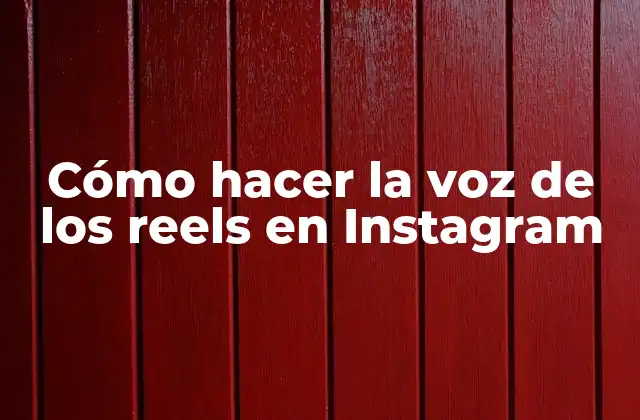 Cómo Hacer la Voz de los Reels en Instagram