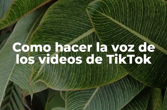 Como Hacer la Voz de los Videos de Tiktok