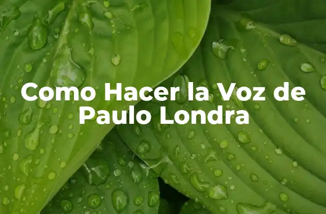 Como Hacer la Voz de Paulo Londra