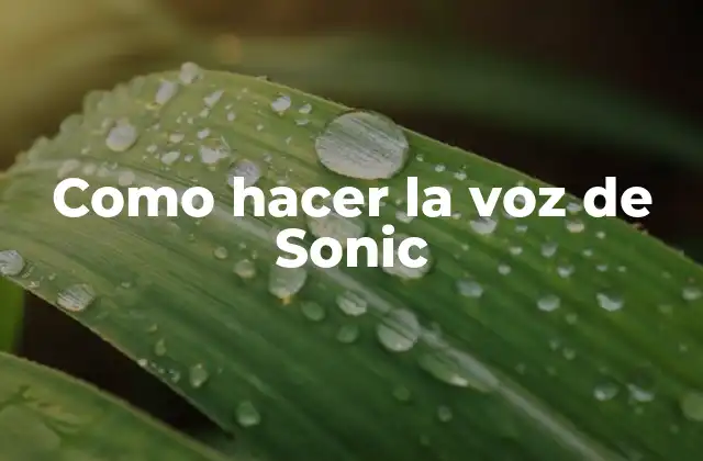 Como Hacer la Voz de Sonic 2 La voz de Sonic el erizo