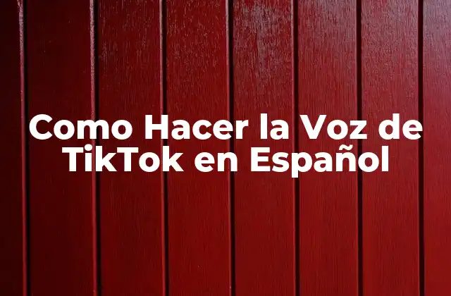 Como Hacer la Voz de Tiktok en Español