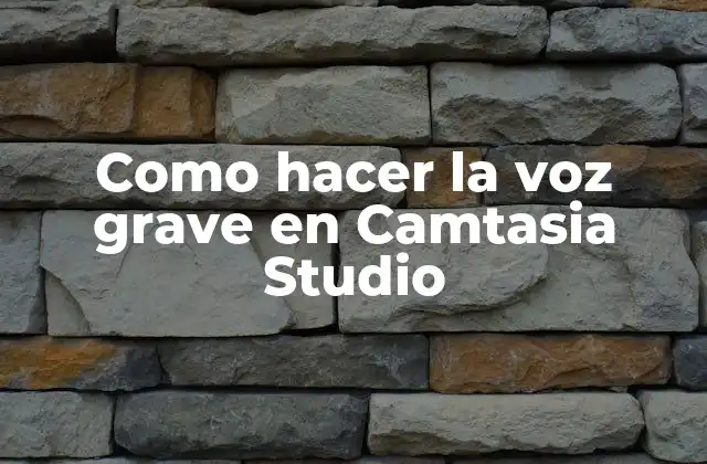 Como Hacer la Voz Grave en Camtasia Studio