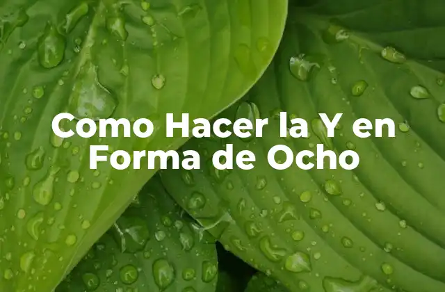 Como Hacer la y en Forma de Ocho