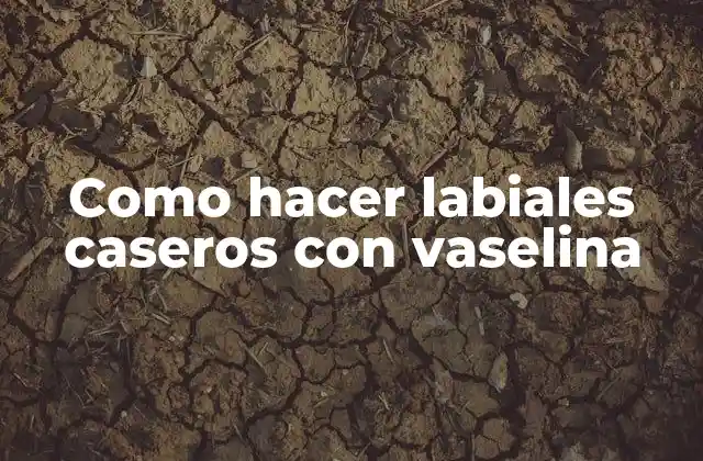 Como Hacer Labiales Caseros con Vaselina 2 Labiales caseros con vaselina