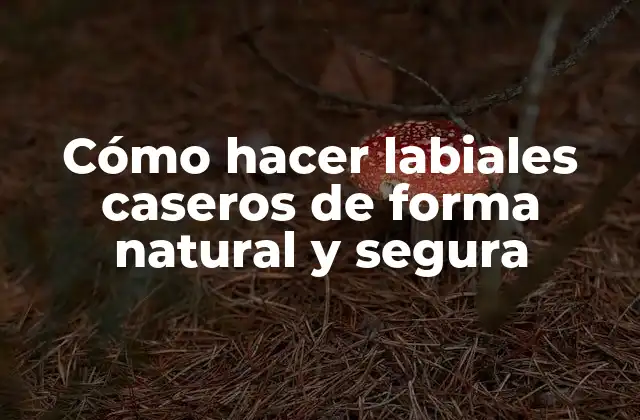 Cómo Hacer Labiales Caseros de Forma Natural y Segura