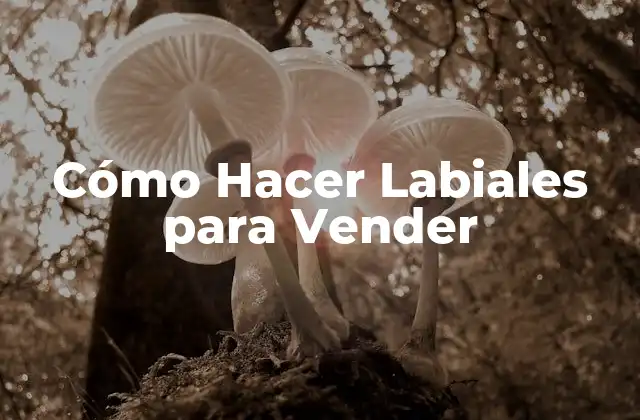 ¿Qué son los Labiales y para Qué Sirven?