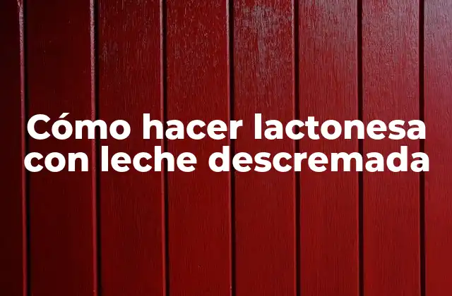Cómo Hacer Lactonesa con Leche Descremada