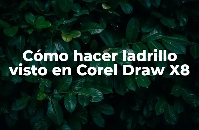 Cómo Hacer Ladrillo Visto en Corel Draw X8