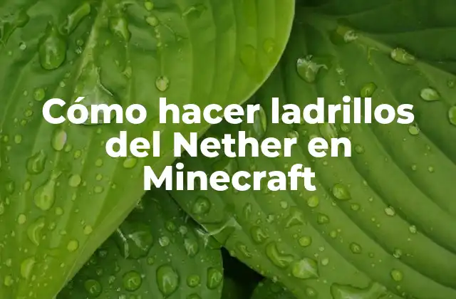 Cómo Hacer Ladrillos Del Nether en Minecraft