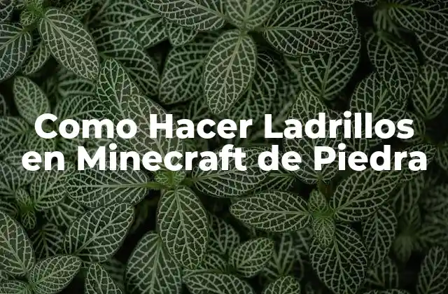 Como Hacer Ladrillos en Minecraft de Piedra 2 ¿Qué son los Ladrillos en Minecraft de Piedra?