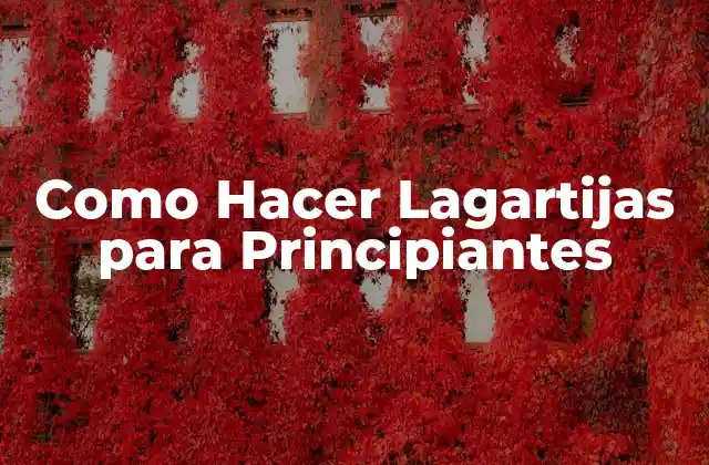 Como Hacer Lagartijas para Principiantes