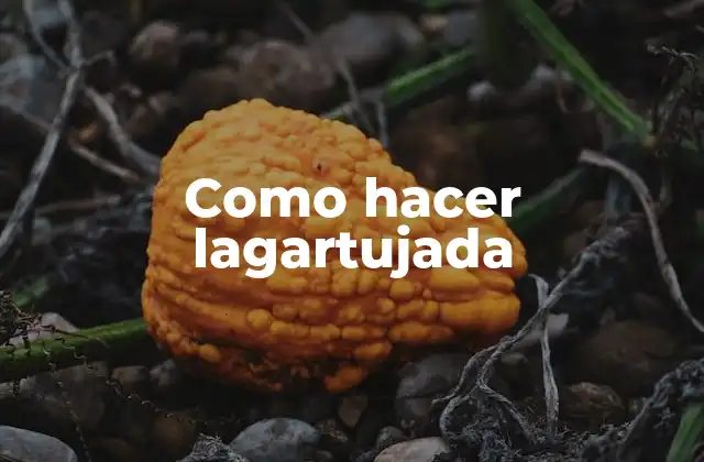 Como Hacer Lagartujada