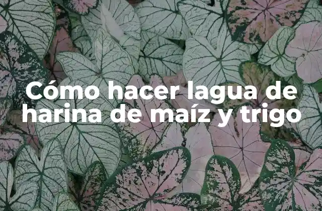 Cómo Hacer Lagua de Harina de Maíz y Trigo