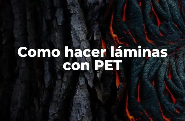 Como Hacer Láminas con Pet