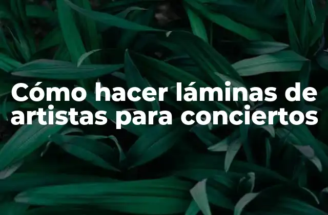 Láminas de artistas para conciertos