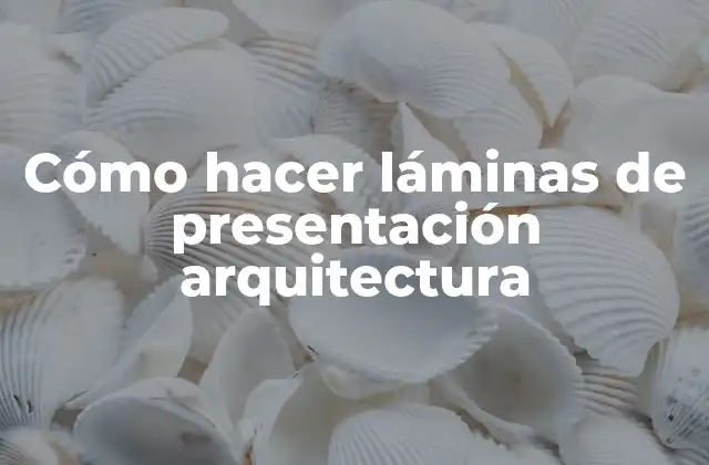 Cómo Hacer Láminas de Presentación Arquitectura 2 ¿Qué son las láminas de presentación arquitectura y para qué sirven?