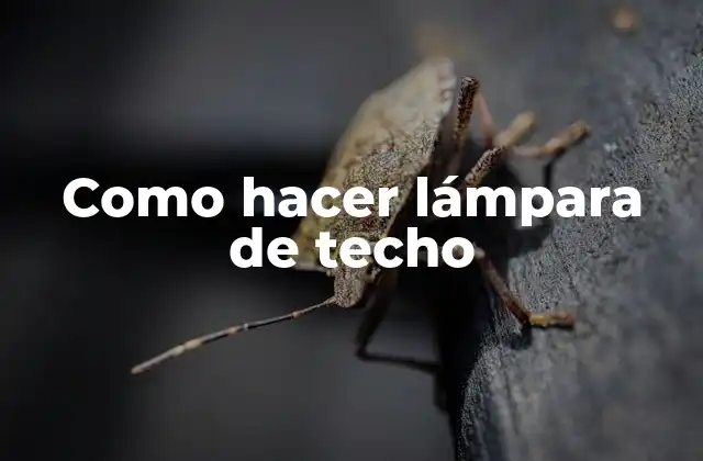 Como Hacer Lámpara de Techo