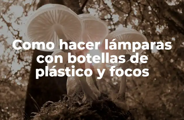 Como Hacer Lámparas con Botellas de Plástico y Focos 2 Lámparas con botellas de plástico y focos