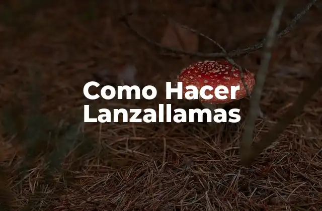 Como Hacer Lanzallamas