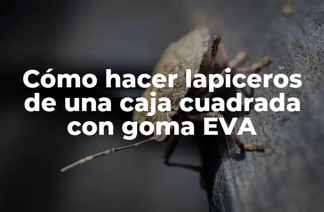 Cómo Hacer Lapiceros de una Caja Cuadrada con Goma Eva