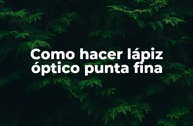 Como Hacer Lápiz Óptico Punta Fina