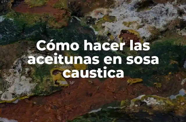 Cómo Hacer las Aceitunas en Sosa Caustica
