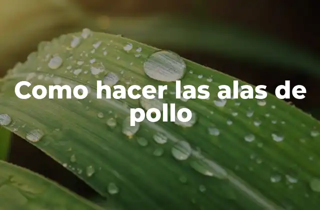 Como Hacer las Alas de Pollo 2 Las alas de pollo: una delicia clásica en la cocina