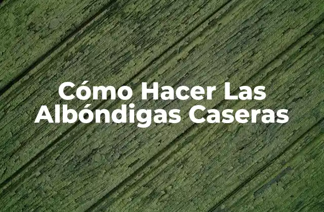 Cómo Hacer las Albóndigas Caseras