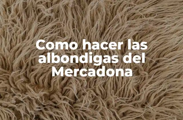 Como Hacer las Albondigas Del Mercadona