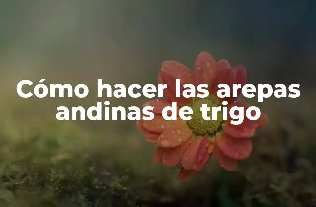 Cómo Hacer las Arepas Andinas de Trigo