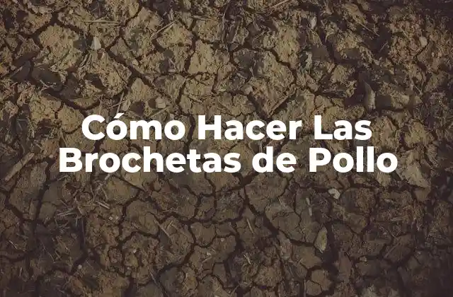 Cómo Hacer las Brochetas de Pollo