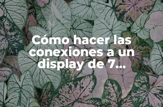 Cómo Hacer las Conexiones a un Display de 7 Segmentos