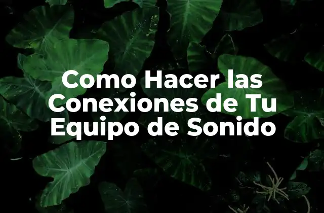 ¿Qué son las Conexiones de Equipo de Sonido?