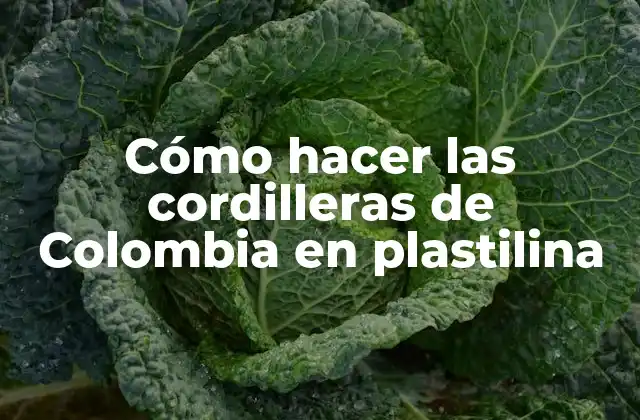 Cómo Hacer las Cordilleras de Colombia en Plastilina
